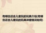 有哪些适合儿童玩的玩具介绍(有哪些适合儿童玩的玩具详细情况如何)