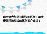 哈士奇犬与阿拉斯加的区别（哈士奇跟阿拉斯加的区别简介介绍）