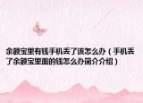余额宝里有钱手机丢了该怎么办（手机丢了余额宝里面的钱怎么办简介介绍）