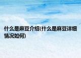 什么是麻豆介绍(什么是麻豆详细情况如何)