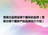 雪佛兰品牌是哪个国家的品牌（雪佛兰哪个国家产的品牌简介介绍）