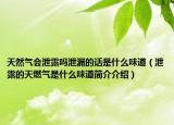 天然气会泄露吗泄漏的话是什么味道（泄露的天燃气是什么味道简介介绍）