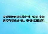 安徽铜陵有哪些旅行社(?介绍 安徽铜陵有哪些旅行社 ?详细情况如何)