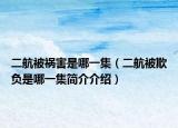 二航被祸害是哪一集（二航被欺负是哪一集简介介绍）