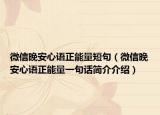 微信晚安心语正能量短句（微信晚安心语正能量一句话简介介绍）