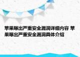苹果曝出严重安全漏洞详细内容 苹果曝出严重安全漏洞具体介绍