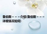 鲁伯斯～～～介绍(鲁伯斯～～～详细情况如何)