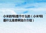 小米的f码是干什么的（小米f码是什么意思啊简介介绍）