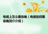 电视上怎么看春晚（电视如何看春晚简介介绍）