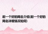 起一个好的网名介绍(起一个好的网名详细情况如何)