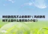 树欲静而风不止的意思?（风欲静而树不止是什么意思简介介绍）