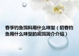 春季钓鱼饵料用什么味型（初春钓鱼用什么味型的底饵简介介绍）