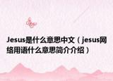 Jesus是什么意思中文（jesus网络用语什么意思简介介绍）