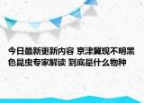 今日最新更新内容 京津冀现不明黑色昆虫专家解读 到底是什么物种