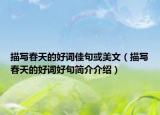 描写春天的好词佳句或美文（描写春天的好词好句简介介绍）