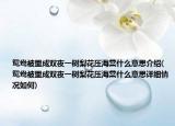 鸳鸯被里成双夜一树梨花压海棠什么意思介绍(鸳鸯被里成双夜一树梨花压海棠什么意思详细情况如何)