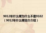 9012年什么梗为什么不是9102（9012年什么梗简介介绍）
