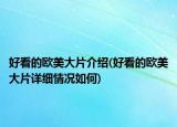 好看的欧美大片介绍(好看的欧美大片详细情况如何)