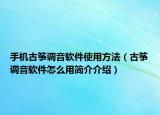 手机古筝调音软件使用方法（古筝调音软件怎么用简介介绍）