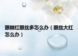 眼睛红眼丝多怎么办（眼丝大红怎么办）
