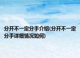 分开不一定分手介绍(分开不一定分手详细情况如何)