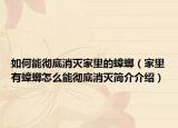 如何能彻底消灭家里的蟑螂（家里有蟑螂怎么能彻底消灭简介介绍）