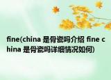 fine(china 是骨瓷吗介绍 fine china 是骨瓷吗详细情况如何)