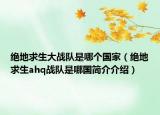 绝地求生大战队是哪个国家（绝地求生ahq战队是哪国简介介绍）