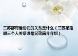 三苏都有谁他们的关系是什么（三苏是指哪三个人关系谁是兄弟简介介绍）
