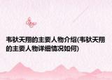 韦驮天翔的主要人物介绍(韦驮天翔的主要人物详细情况如何)