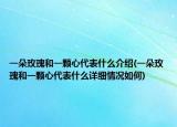 一朵玫瑰和一颗心代表什么介绍(一朵玫瑰和一颗心代表什么详细情况如何)