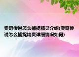 奥奇传说怎么捕捉精灵介绍(奥奇传说怎么捕捉精灵详细情况如何)
