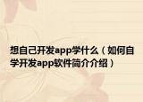 想自己开发app学什么（如何自学开发app软件简介介绍）