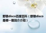 野狼disco百度百科（野狼disco是哪一期简介介绍）