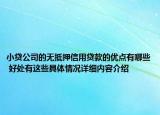 小贷公司的无抵押信用贷款的优点有哪些 好处有这些具体情况详细内容介绍