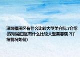 深圳福田区有什么比较大型美容院.?介绍(深圳福田区有什么比较大型美容院.?详细情况如何)