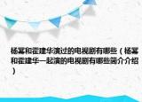 杨幂和霍建华演过的电视剧有哪些（杨幂和霍建华一起演的电视剧有哪些简介介绍）