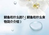 鲟鱼吃什么的?（鲟鱼吃什么食物简介介绍）