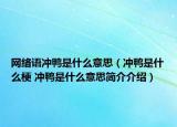 网络语冲鸭是什么意思（冲鸭是什么梗 冲鸭是什么意思简介介绍）