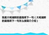 我是大明湖畔的夏雨荷下一句（大明湖畔的夏雨荷下一句怎么接简介介绍）