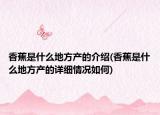 香蕉是什么地方产的介绍(香蕉是什么地方产的详细情况如何)