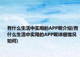 有什么生活中实用的APP呢介绍(有什么生活中实用的APP呢详细情况如何)