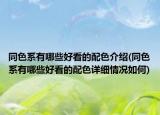 同色系有哪些好看的配色介绍(同色系有哪些好看的配色详细情况如何)