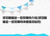 项羽眼睛是一目双瞳吗介绍(项羽眼睛是一目双瞳吗详细情况如何)