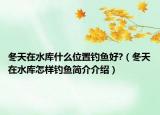 冬天在水库什么位置钓鱼好?（冬天在水库怎样钓鱼简介介绍）