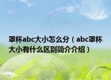 罩杯abc大小怎么分（abc罩杯大小有什么区别简介介绍）