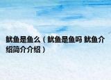 鱿鱼是鱼么（鱿鱼是鱼吗 鱿鱼介绍简介介绍）