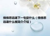 绵绵思远道下一句是什么（绵绵思远道什么梗简介介绍）
