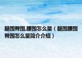 腿围臀围,腰围怎么量（腿围腰围臀围怎么量简介介绍）
