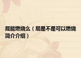 屁能燃烧么（屁是不是可以燃烧简介介绍）